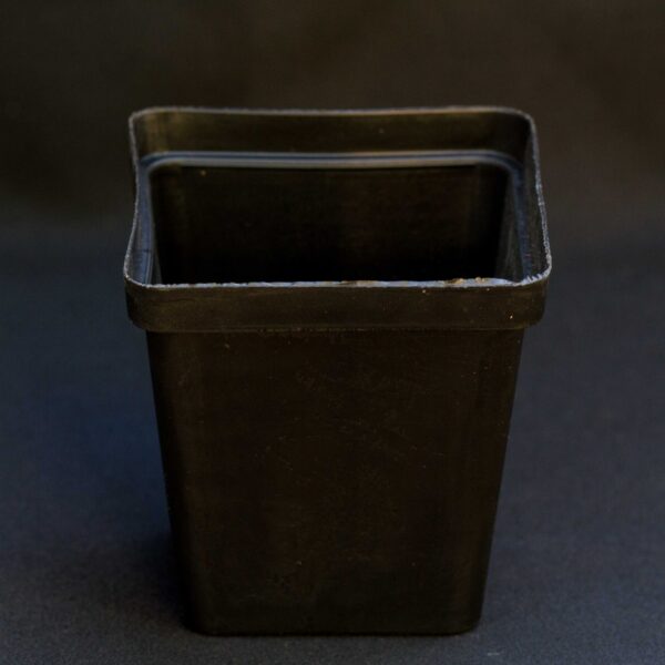 Square Plastic Pot - 10cm (5 - 10 pack)