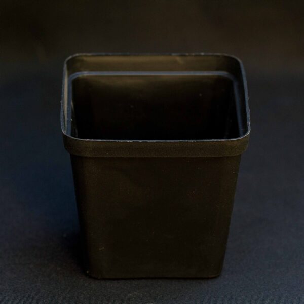 Square Plastic Pot - 8cm (5 - 10 pack)