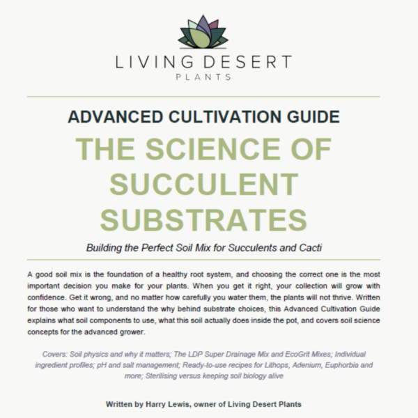 Advanced Cultivation Guide: The Science of Succulent Substrates (PDF)